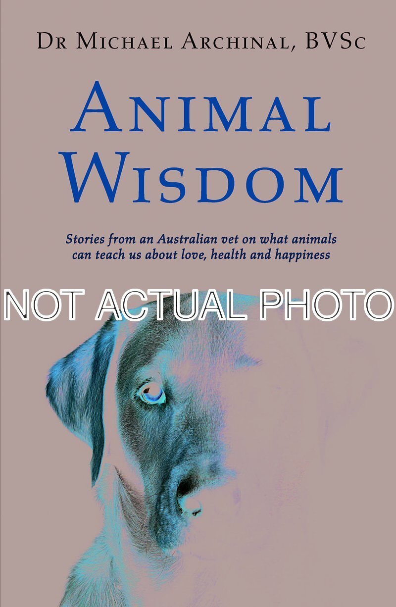 Animal Wisdom by Michael Archinal